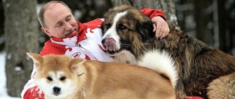 Собаки президента России Владимира Путина