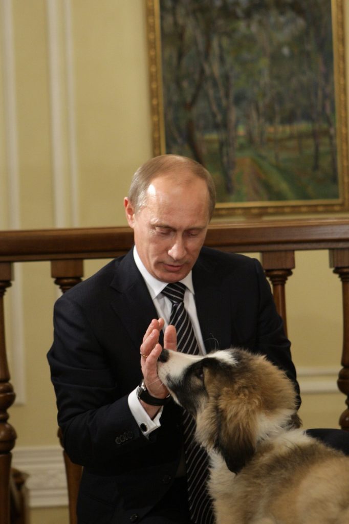 Какой породы собака президента россии путина